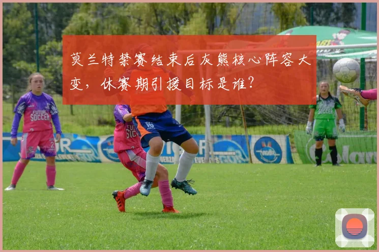 莫兰特禁赛结束后灰熊核心阵容大变,休赛期引援目标是谁?